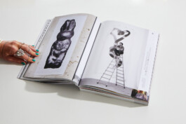 Franziska Nast »RRRRReality«