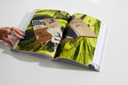 Franziska Nast »RRRRReality«