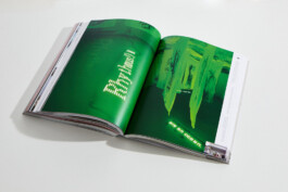 Franziska Nast »RRRRReality«