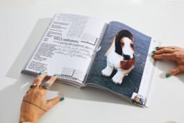 Franziska Nast »RRRRReality«