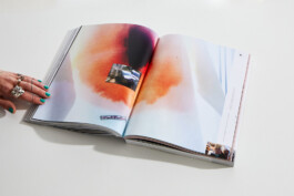 Franziska Nast »RRRRReality«