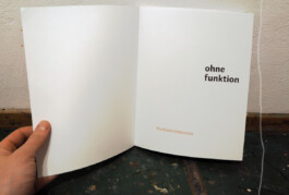 Terbuyken_Ohne-Funktion_KV_Springhornhof